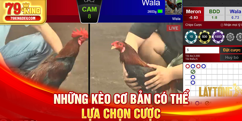 Những kèo cơ bản có thể lựa chọn cược