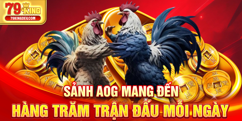 Sảnh AOG mang đến hàng trăm trận đấu mỗi ngày